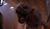 Hintergrund
