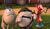 Hintergrund