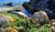 Hintergrund