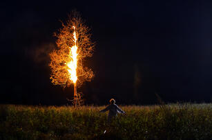 Foto im Vollbild