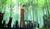 Hintergrund