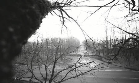 Galerie Foto