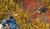 Hintergrund