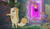 Hintergrund
