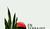 Hintergrund
