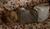 Hintergrund