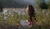 Hintergrund