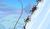Hintergrund