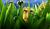 Hintergrund