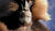 Hintergrund