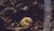 Hintergrund
