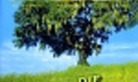 Galerie Foto