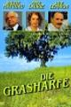 Die Grasharfe