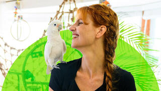Parrot Kindergarten
