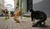 Hintergrund