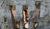 Hintergrund