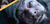 blurry background
