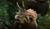 Hintergrund