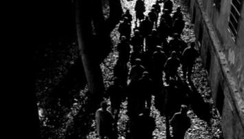 Foto im Vollbild