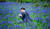 Hintergrund