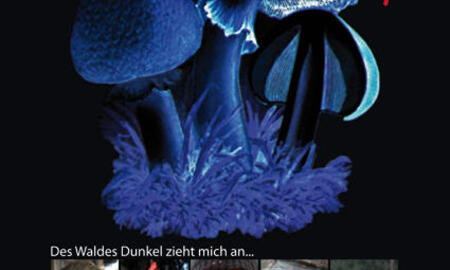 Galerie Foto