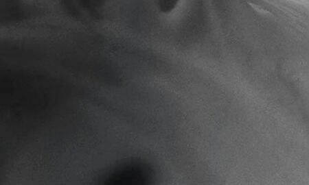 Galerie Foto