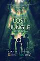 Lost in the Jungle