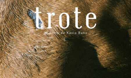Galerie Foto
