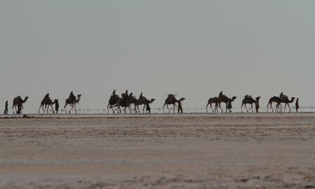 Galerie Foto