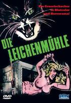 Foto im Vollbild