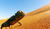 Hintergrund