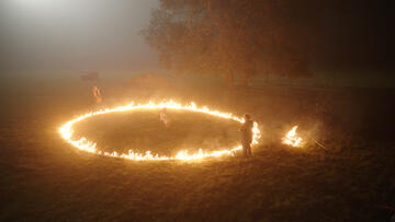 Foto im Vollbild
