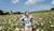 Hintergrund