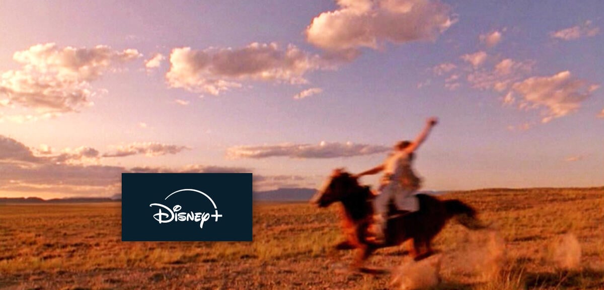 Neu-bei-Disney-Der-Film-den-Quentin-Tarantino-am-liebsten-aus-der-Filmgeschichte-l-schen-w-rde