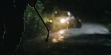 Foto im Vollbild