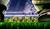 Hintergrund