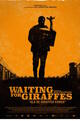 Waiting for Giraffes