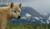 Hintergrund