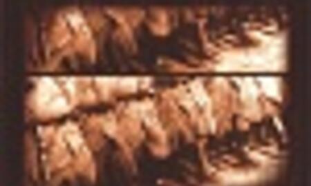 Galerie Foto