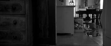 Foto im Vollbild