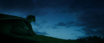 Foto im Vollbild