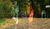 Hintergrund
