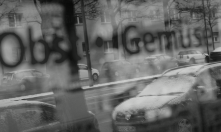 Galerie Foto