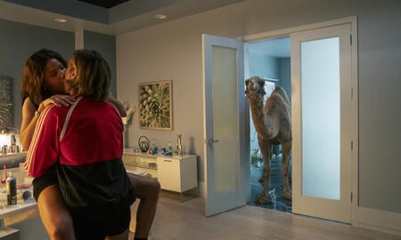 Galerie Foto