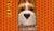 Hintergrund