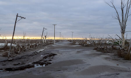 Galerie Foto