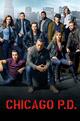 Staffel 3 von Chicago P.D.