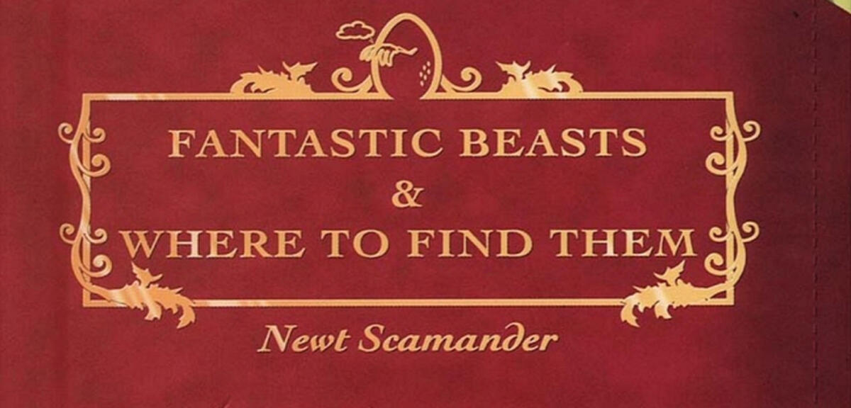 Fantastic Beasts And Where To Find Them