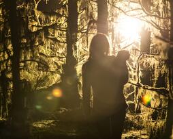 Foto im Vollbild