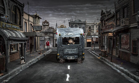 Galerie Foto